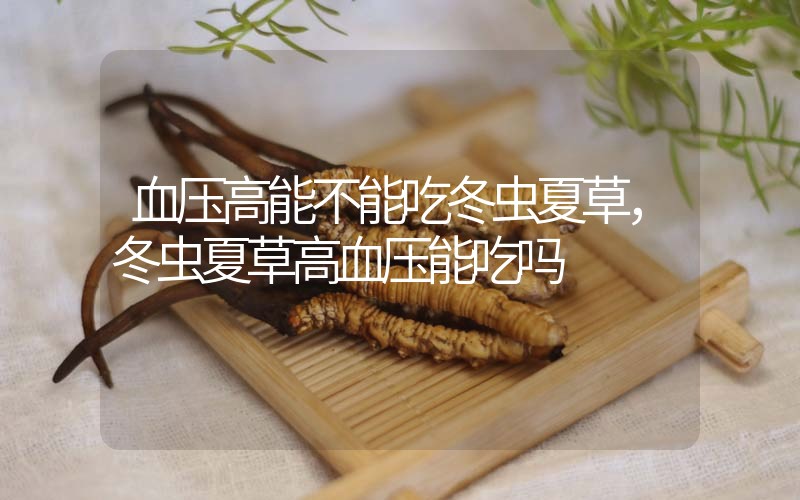 血壓高能不能吃冬蟲(chóng)夏草，冬蟲(chóng)夏草高血壓能吃嗎？