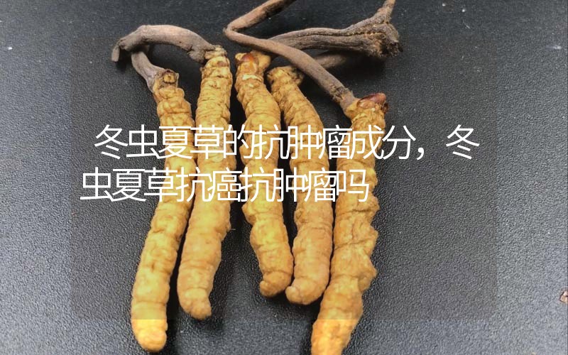 冬蟲(chóng)夏草的抗腫瘤成分，冬蟲(chóng)夏草抗癌抗腫瘤嗎？