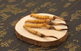 哪個(gè)產(chǎn)地的冬蟲夏草品質(zhì)較好？